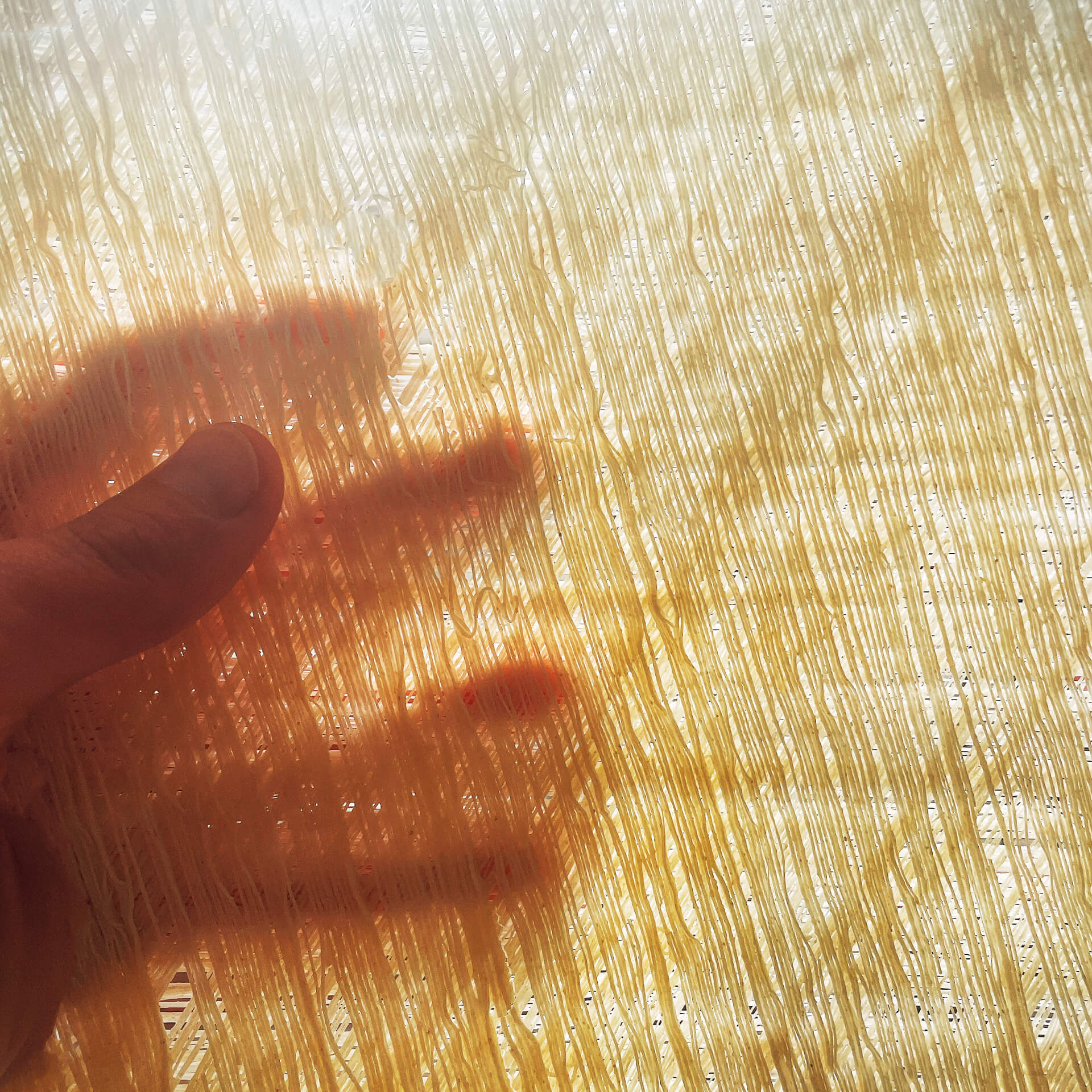 Delicate strands of su filindeu